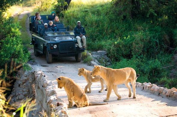Kruger Park Lodge 401 Hazyview Ngoại thất bức ảnh